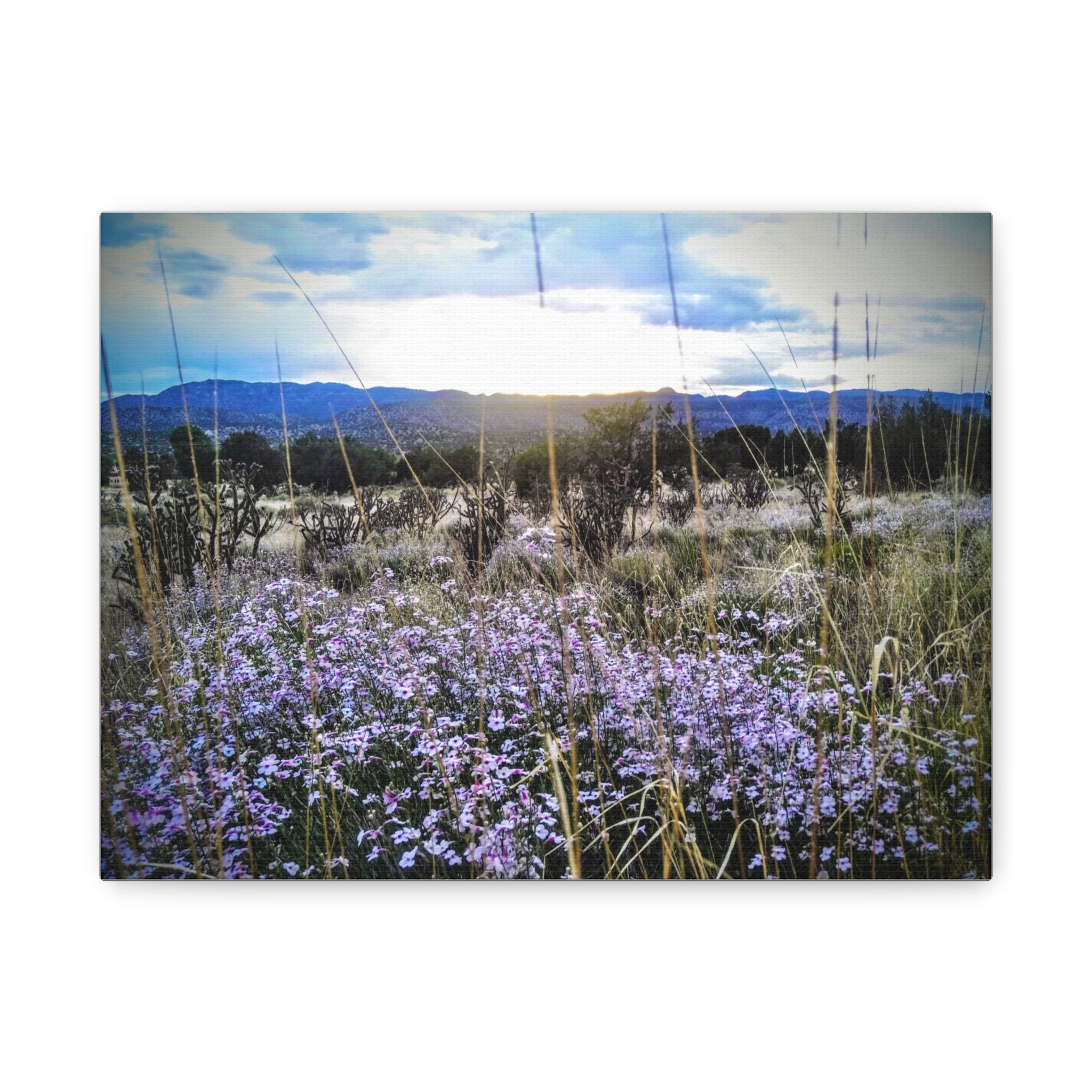 Framed Botanical Wall Art, Floral Canvas Print, Nature Decor, Home Interior Art, Gift for Garden Lovers, Beautiful Flower Landscape