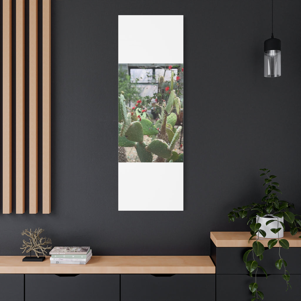 Cactus Artwork Print, Botanical Wall Decor, Succulent Canvas, Nature Lover Gift, Home Decoration