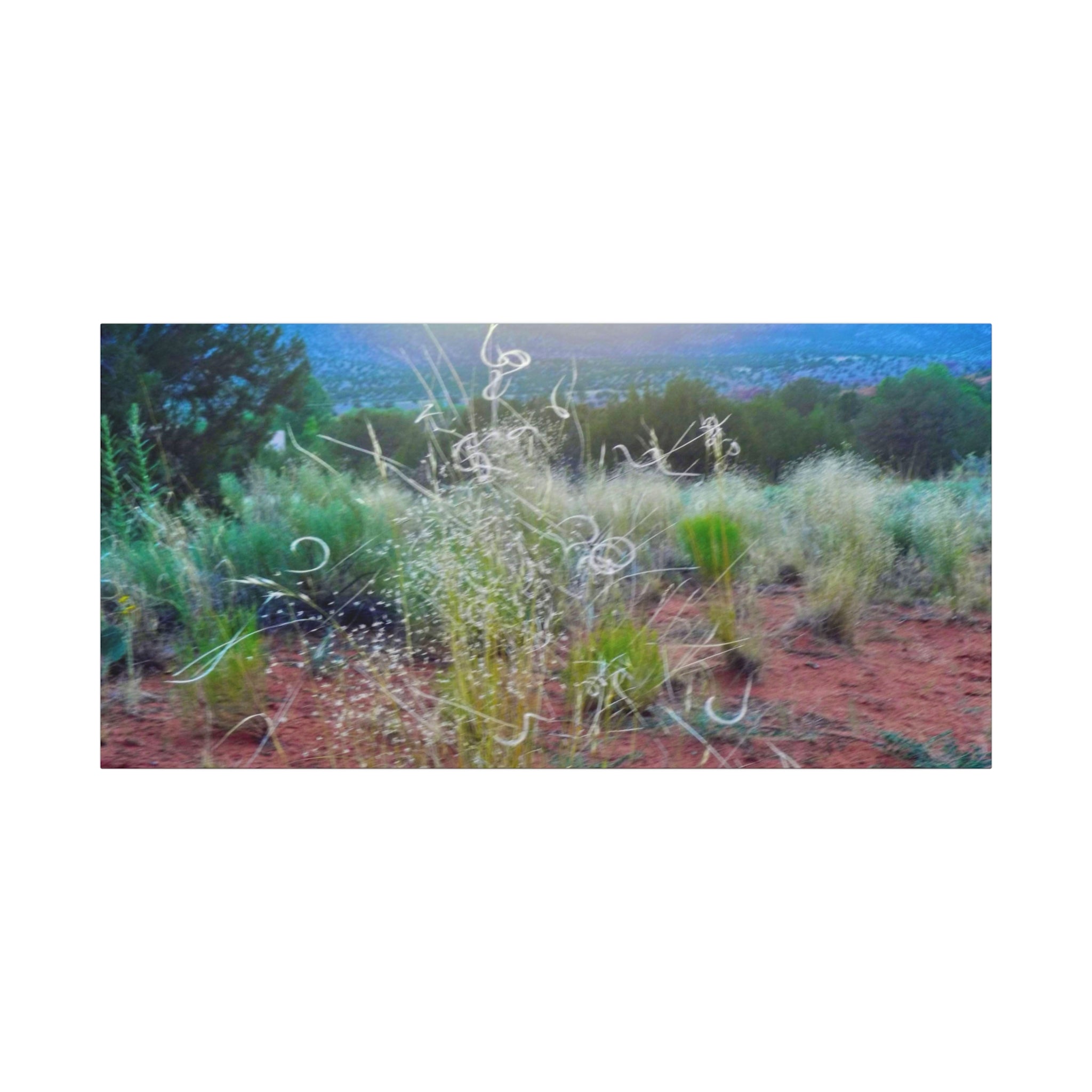 Serene Desert Landscape Canvas Print, Nature Wall Art, Home Decor, Gift for Nature Lovers, Rustic Art for Living Room, Boho Decor