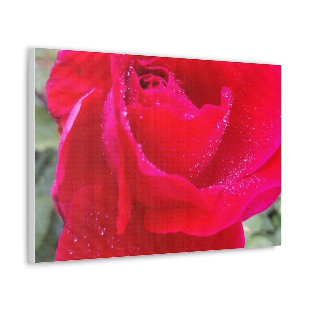 Stunning Floral Canvas Print, Home Decor, Wall Art, Gift for Flower Lovers, Red Rose Art, Mother's Day Gift