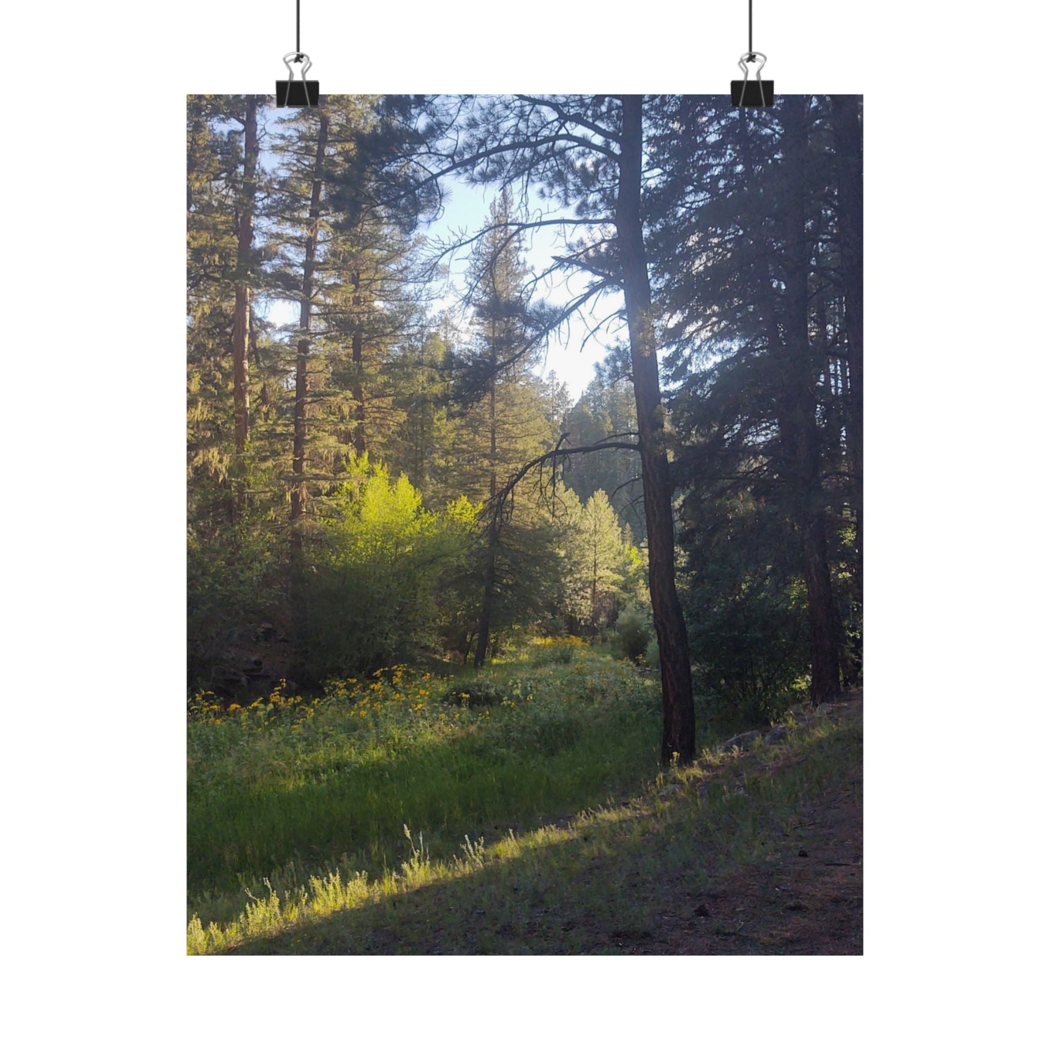 Nature-Inspired Vertical Posters, Scenic Wall Art, Home Décor, Forest Print, Gift for Nature Lovers