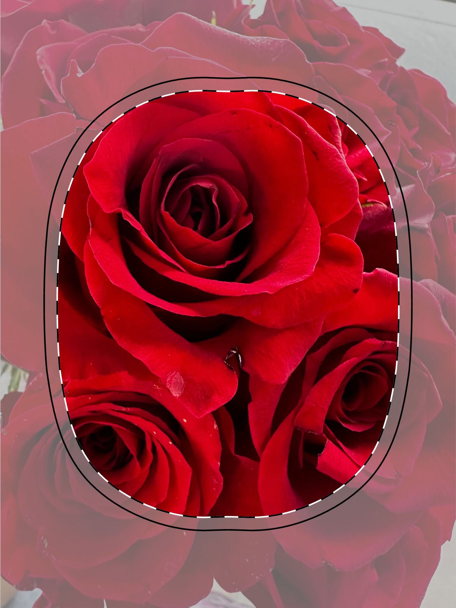 Red Rose AirPods Max Shell Case | Floral Design, Headphone Cover, Gift for Her, Valentine's Day Accessory, Protective AirPods Max Case