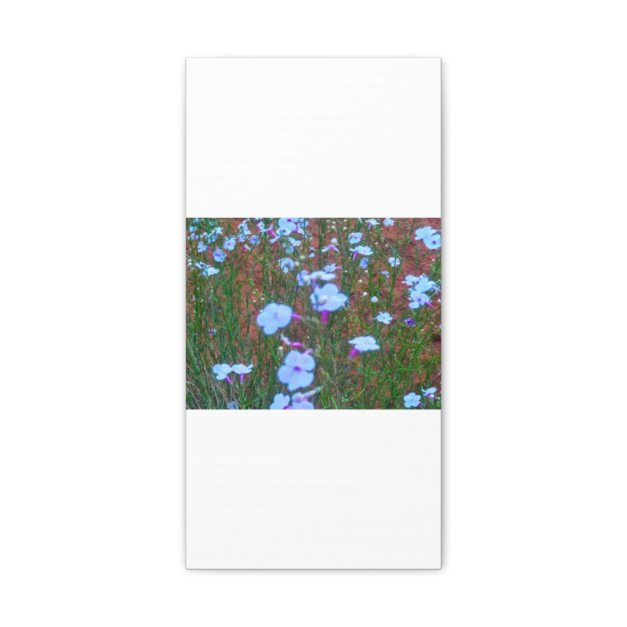 Floral Canvas Wall Art, Home Decor, Wall Hanging, Gift Idea, Nature Art, Flower Print