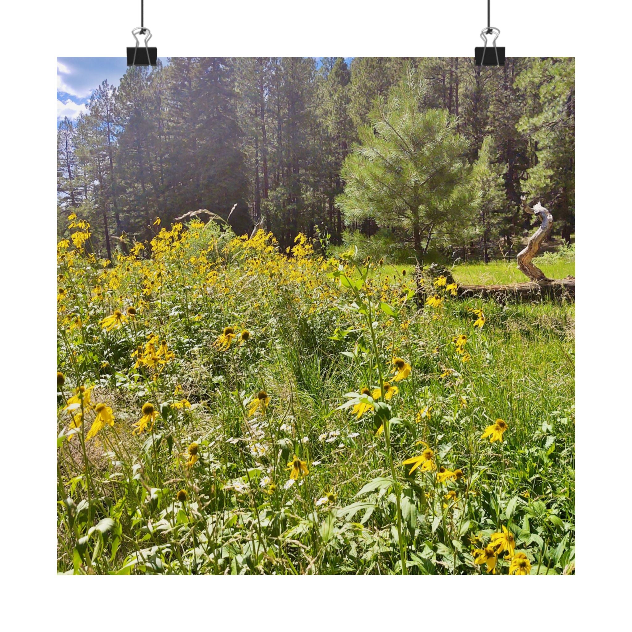 Nature-Inspired Matte Vertical Posters, Floral Wall Art, Home Decor, Gift for Nature Lovers, Botanical Print, Office Decoration