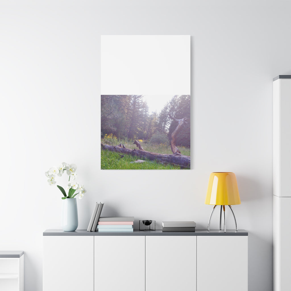 Matte Canvas Wall Art - Serene Nature Scene, Perfect for Home Decor, Gift for Nature Lovers, Office Wall Decoration, Rustic Art Print