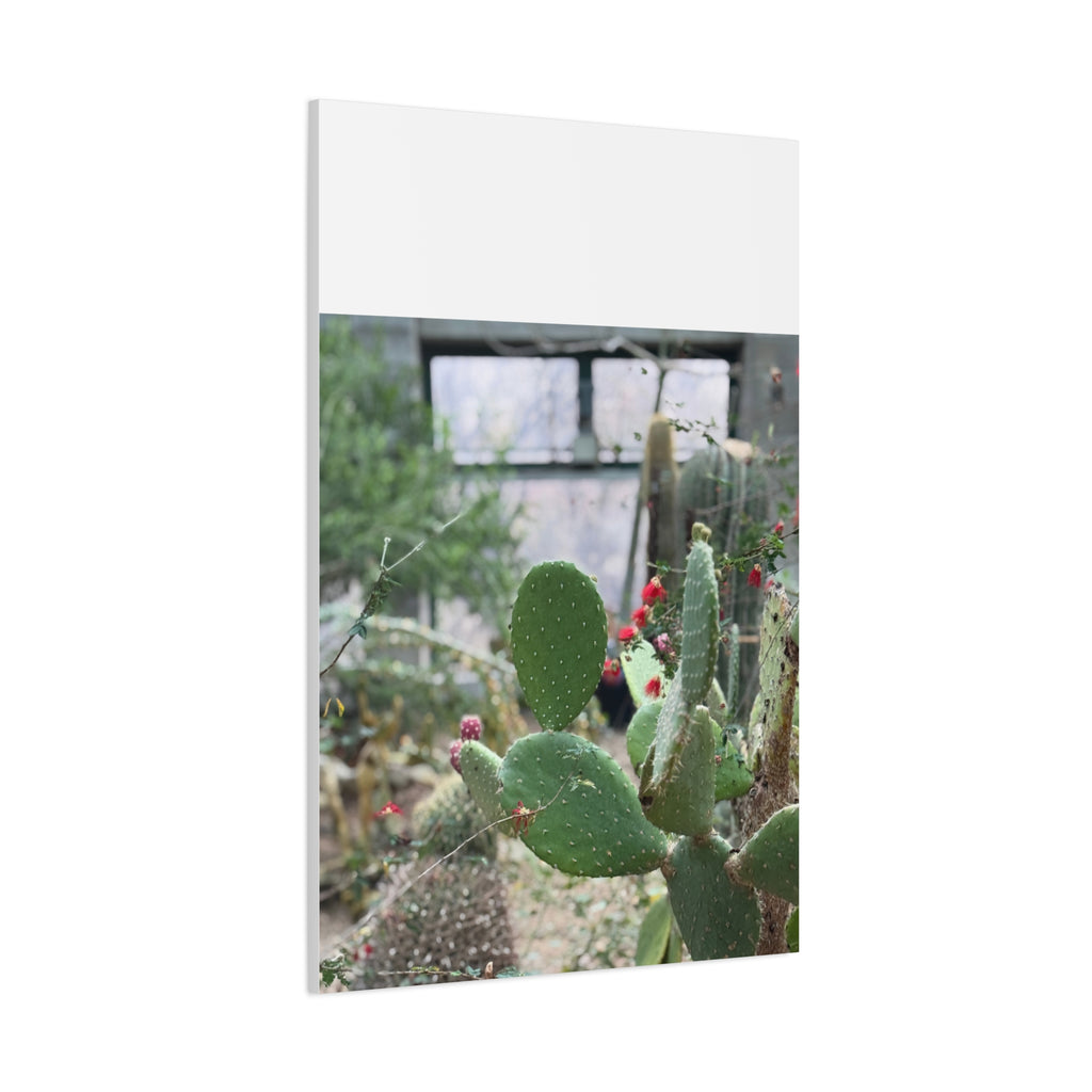 Cactus Matte Canvas Wall Art, Nature Decor, Southwestern Room Design, Green Plant Prints, Home and Office Wall Decor