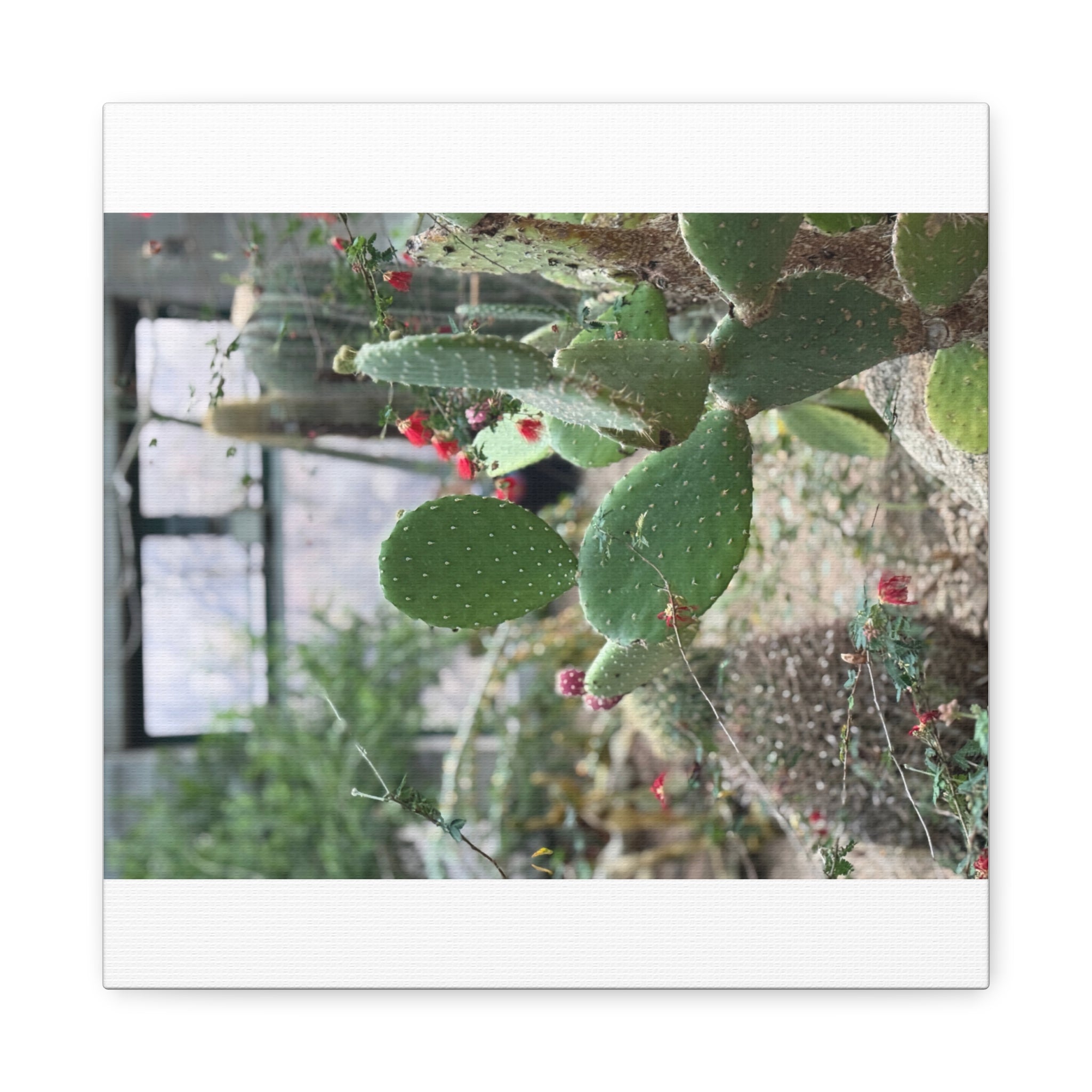 Cactus Wall Art Canvas Print, Nature Décor for Home, Office, Gift for Cactus Lovers, Unique Plant Themed Artwork, Desert Vibe Decor