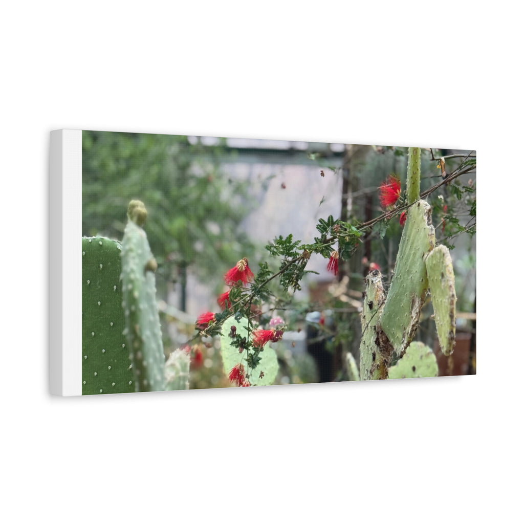 Cactus Wall Art Print, Nature Home Decor, Bohemian Style Artwork, Botanical Gift, Succulent Canvas