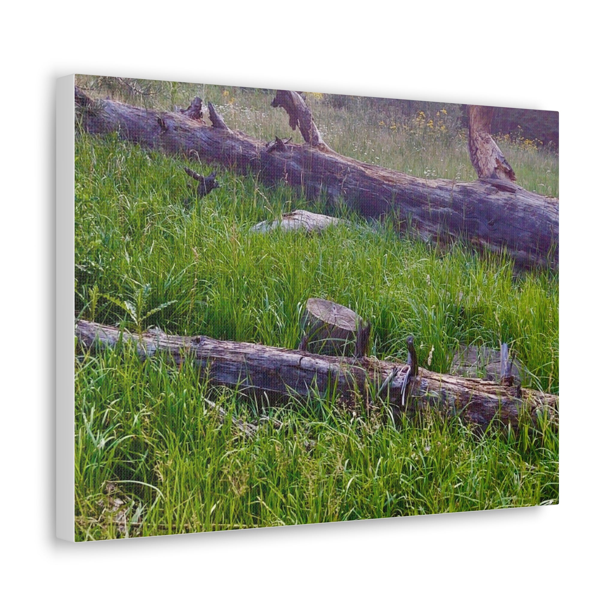 Classic Canvas Wall Art - Nature Decor, Outdoor Wall Hanging, Home Aesthetic, Gift for Nature Lovers, Rustic Cabin Decor
