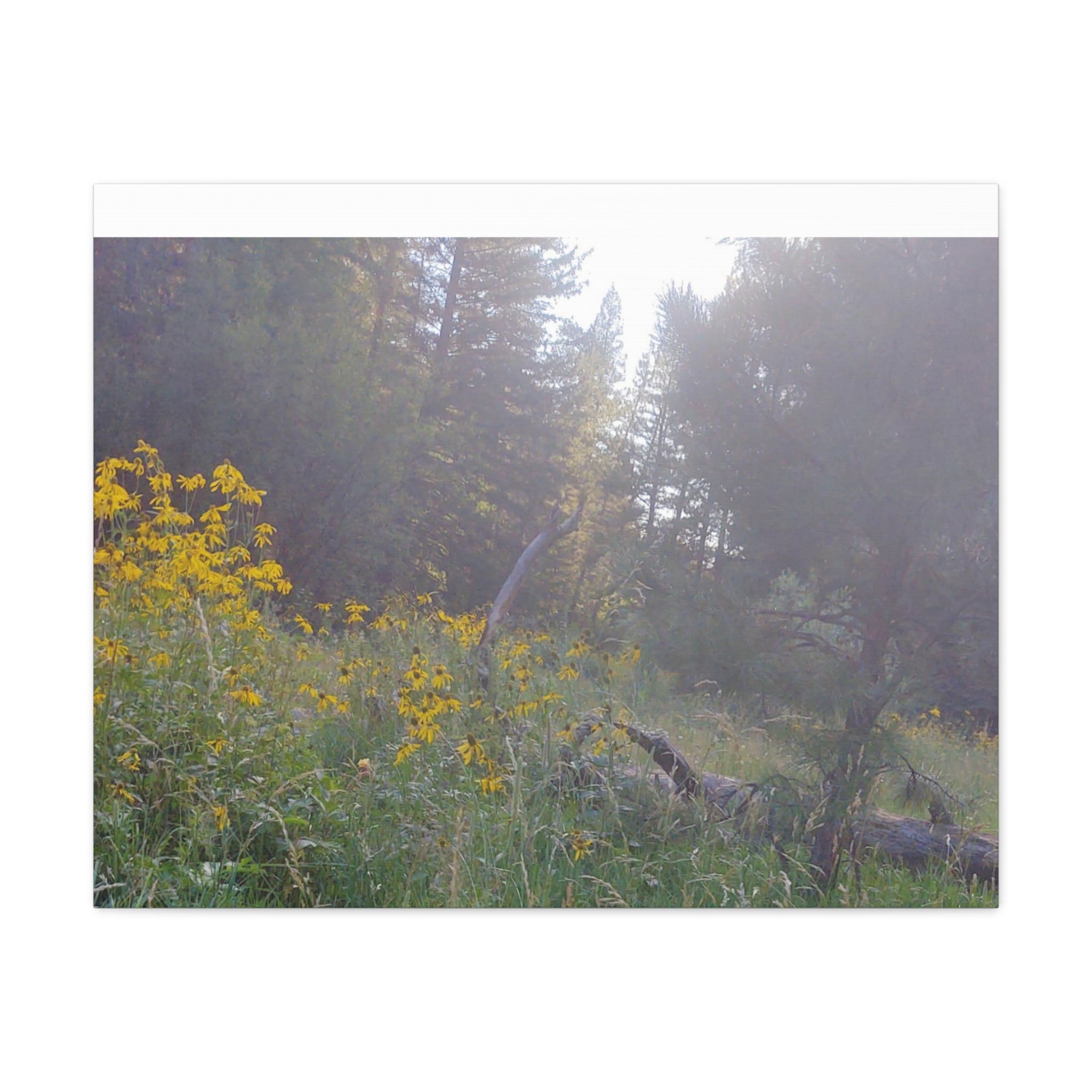 Matte Canvas, Stretched, 1.25"