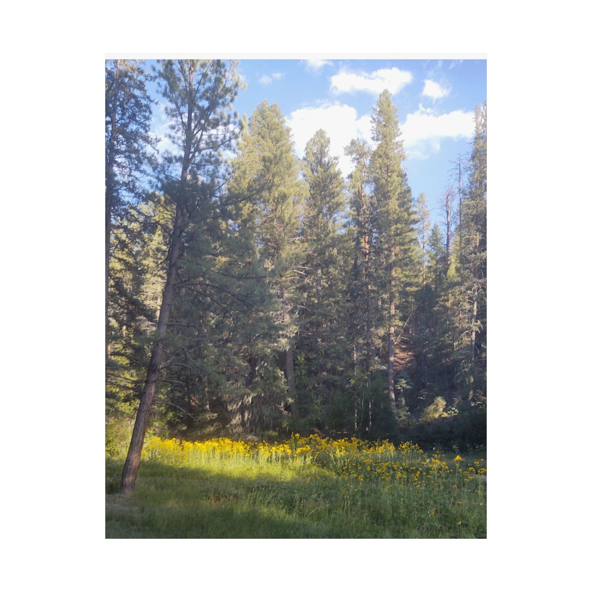 Nature-Inspired Matte Vertical Posters, Wall Artwork, Home Decor, Forest Prints, Boho Wall Art, Gift for Nature Lovers