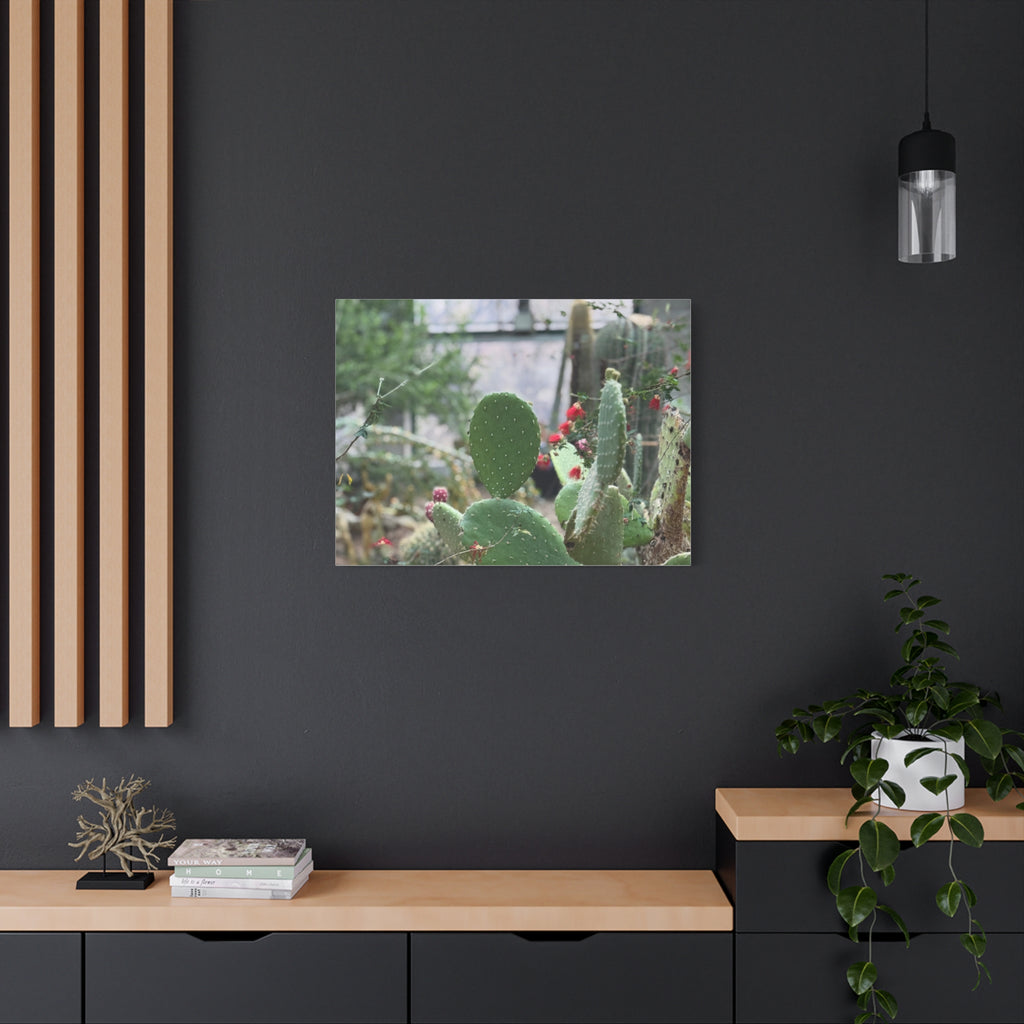 Cactus Matte Canvas Wall Art, Nature Decor, Southwestern Room Design, Green Plant Prints, Home and Office Wall Decor