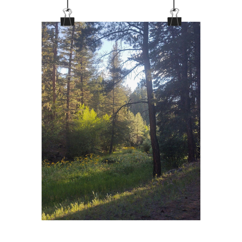 Nature-Inspired Vertical Posters, Scenic Wall Art, Home Décor, Forest Print, Gift for Nature Lovers