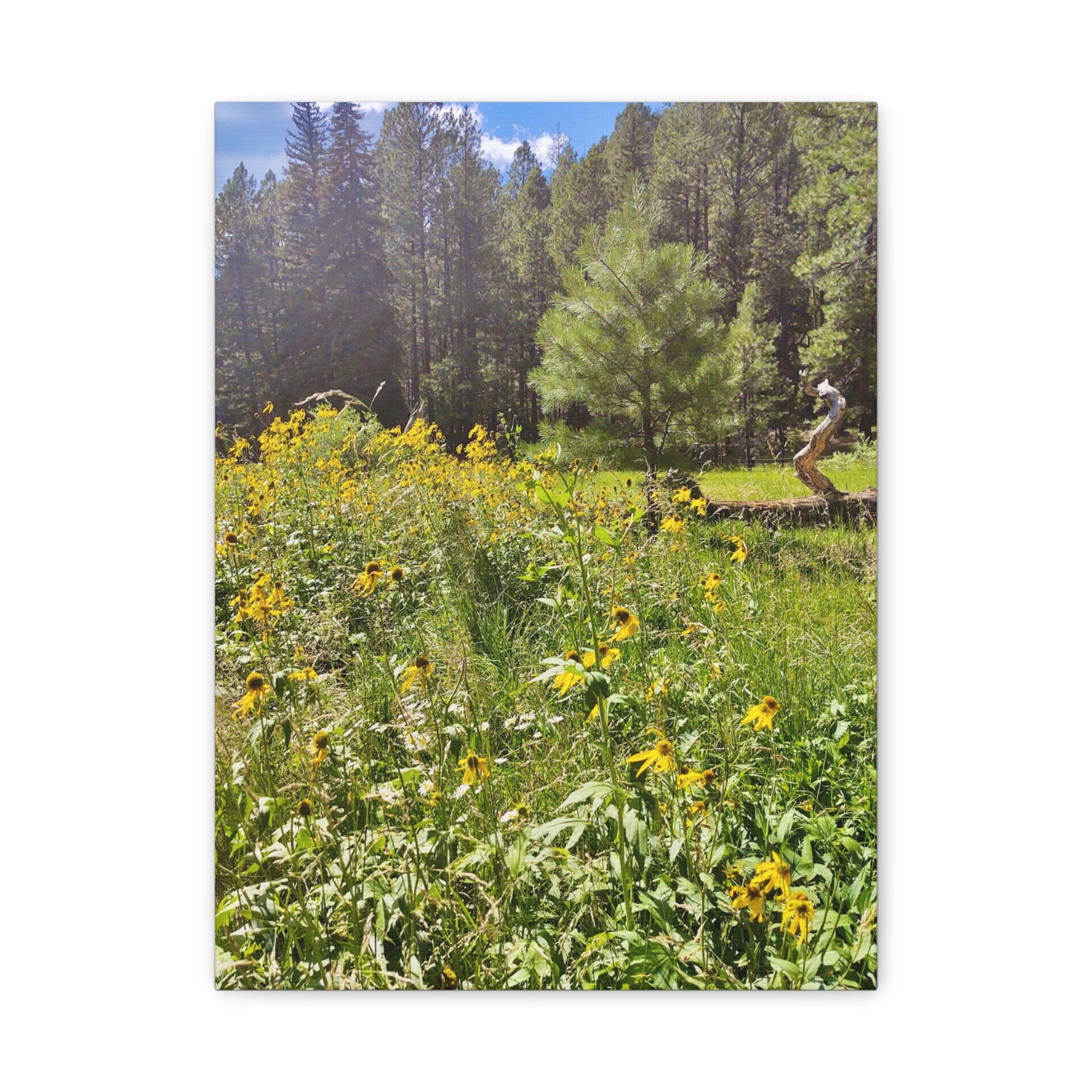 Canvas Wall Art, Nature Photography Decor, Floral Home Decor, Greenery Art Print, Gift for Nature Lovers