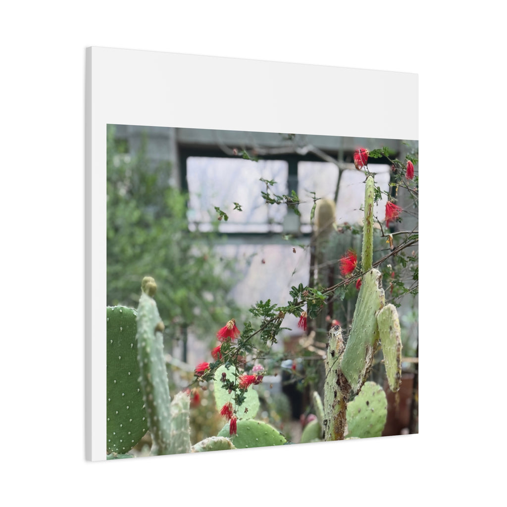 Cactus Wall Art Print, Nature Home Decor, Bohemian Style Artwork, Botanical Gift, Succulent Canvas