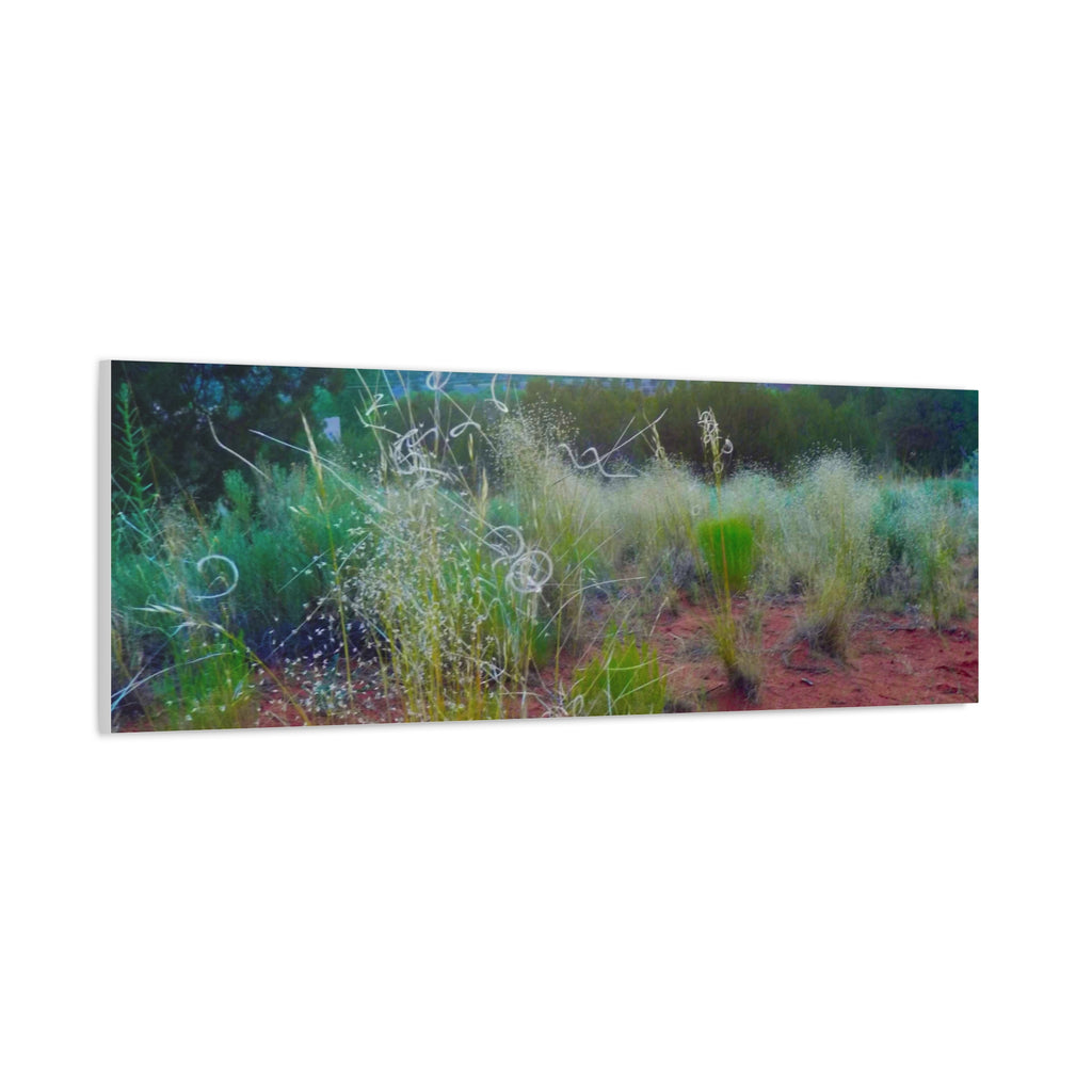 Stretched Canvas Art Print, Nature Wall Decor, Boho Home Decor, Rustic Landscape Art, Gift for Nature Lovers