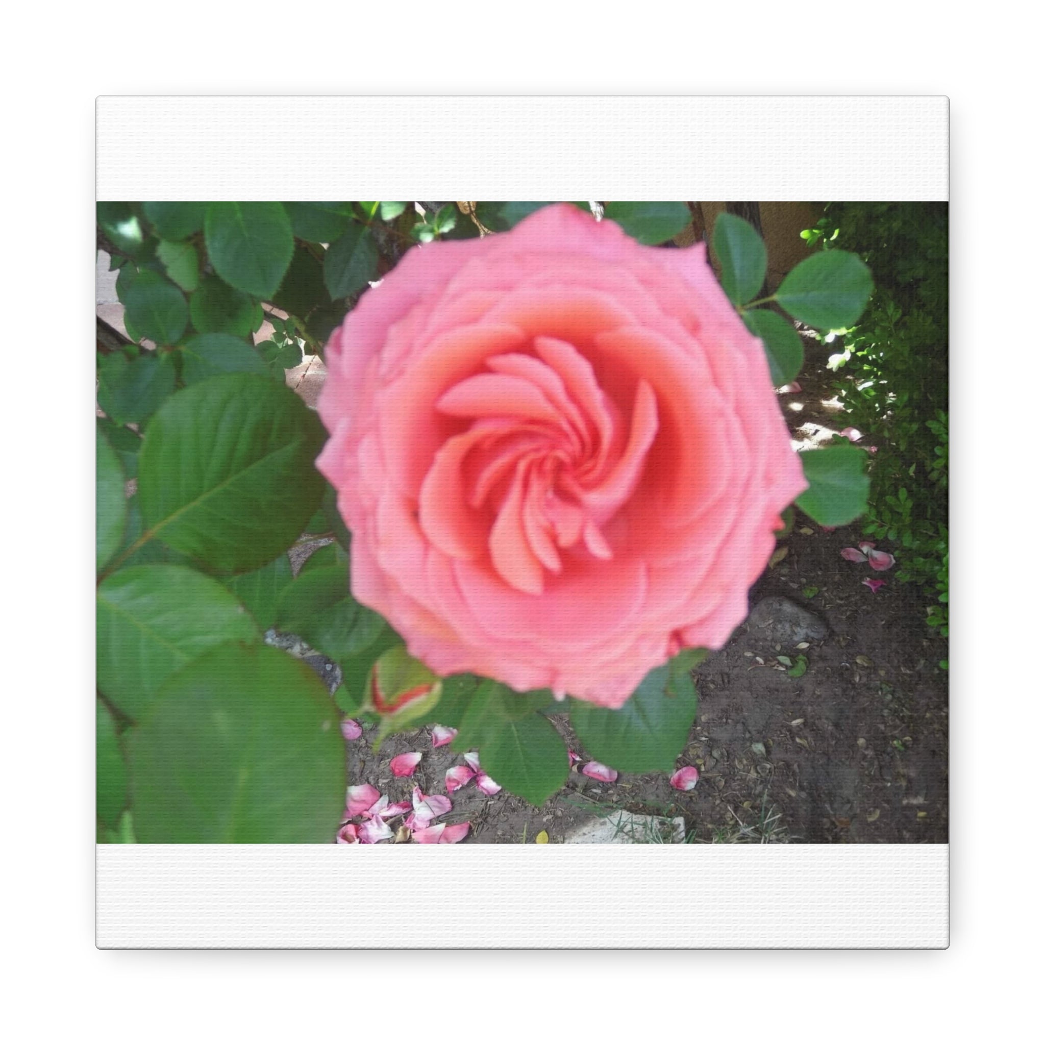 Pink Rose Canvas Wall Art, Floral Decor for Home, Perfect Gift for Nature Lovers, Elegant Wall Hanging, Mother's Day Decoration