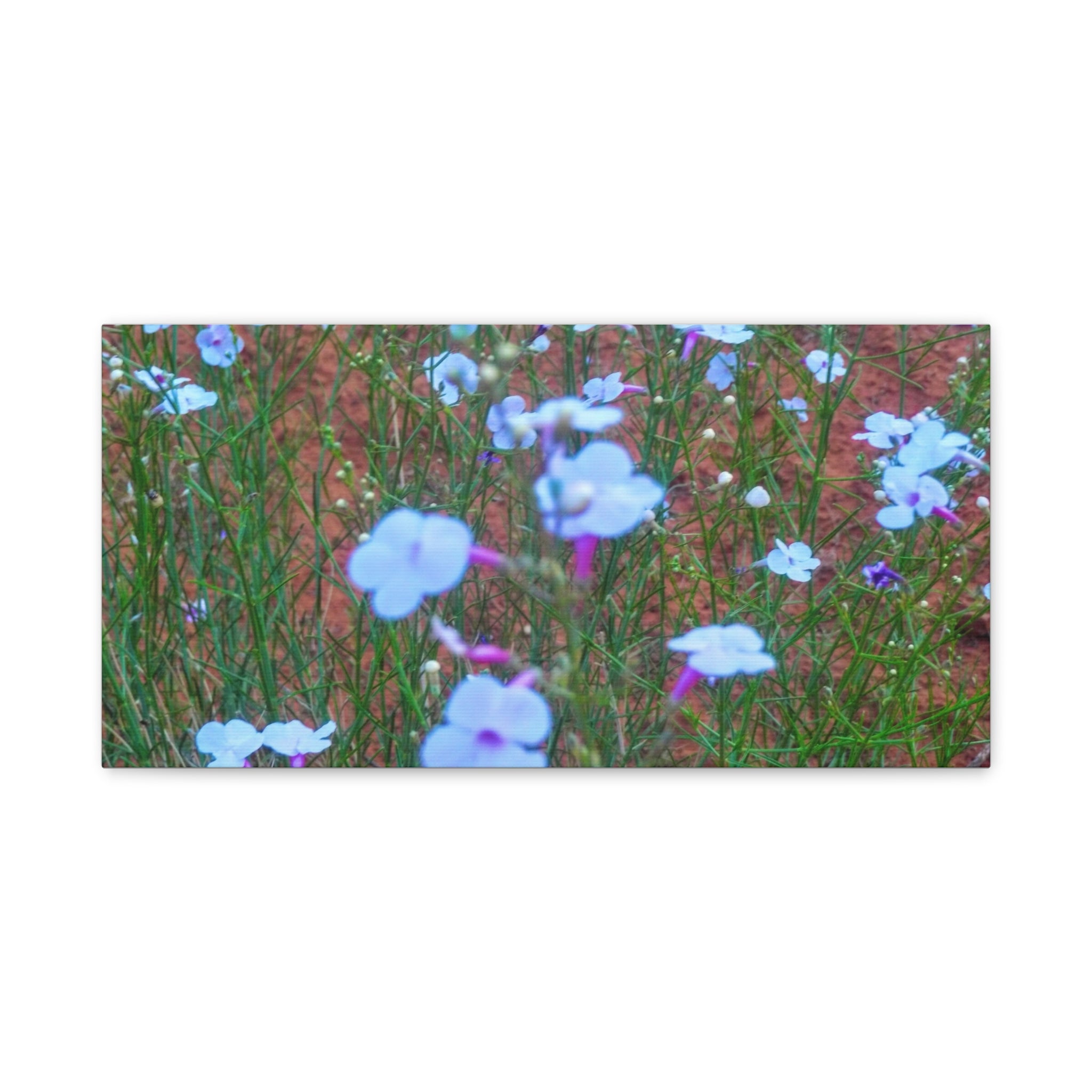 Floral Canvas Wall Art, Home Decor, Wall Hanging, Gift Idea, Nature Art, Flower Print