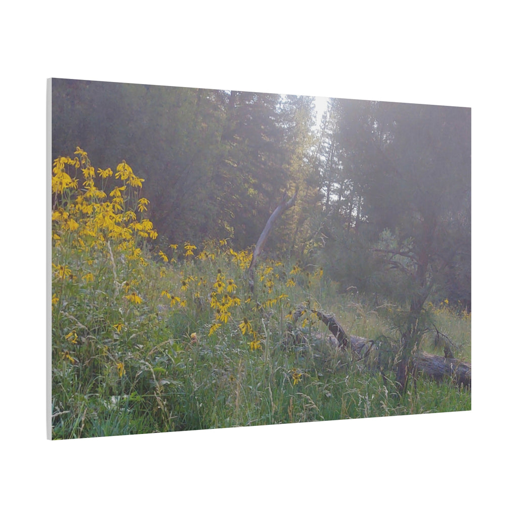 Matte Canvas, Stretched, 1.25"