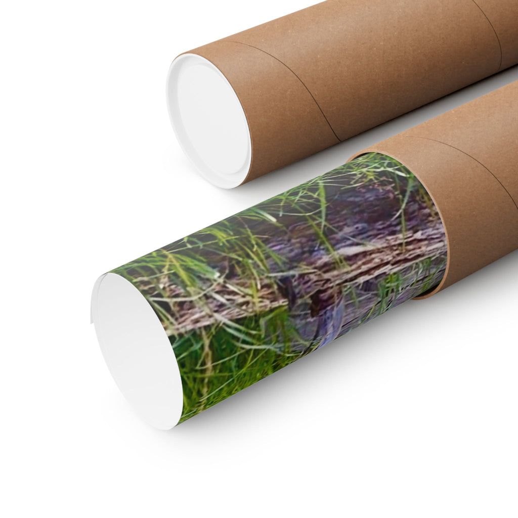 Nature-Inspired Matte Vertical Posters, Wall Art Decor, Forest Photo Prints, Home Aesthetic, Gift for Nature Lovers