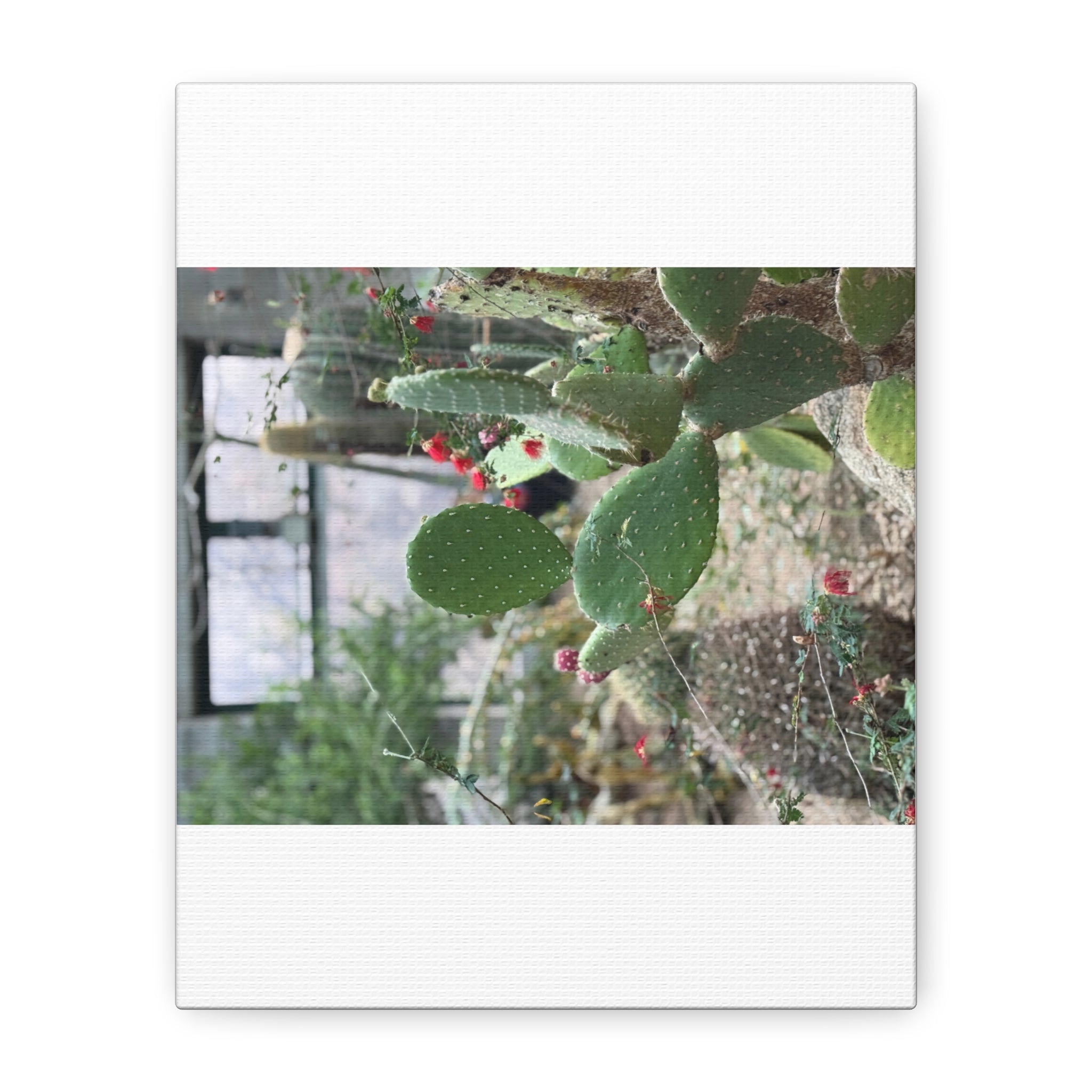 Cactus Wall Art Canvas Print, Nature Décor for Home, Office, Gift for Cactus Lovers, Unique Plant Themed Artwork, Desert Vibe Decor