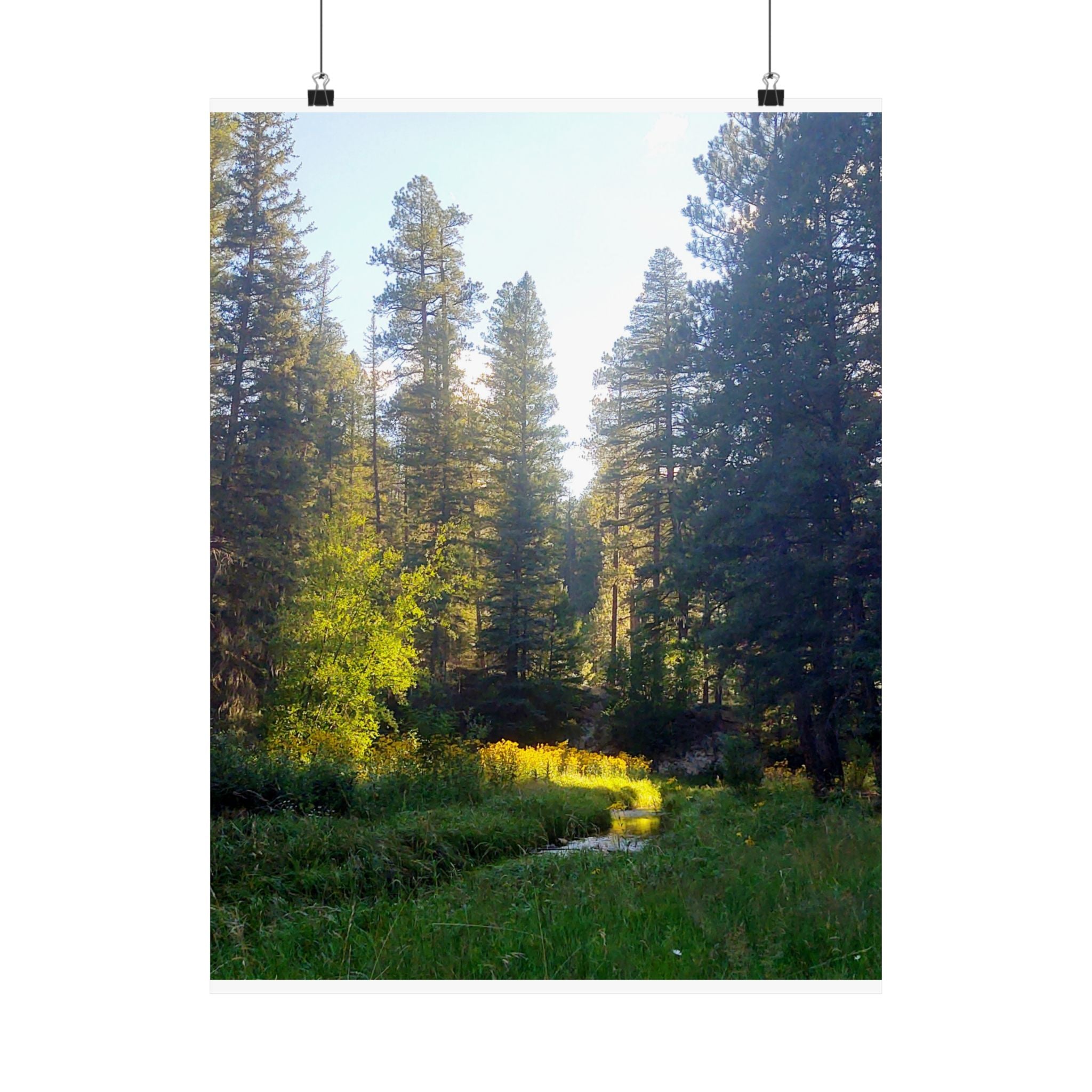 Serene Nature Poster, Wall Art Print, Forest Decor, Botanical Photography, Home Office Artwork