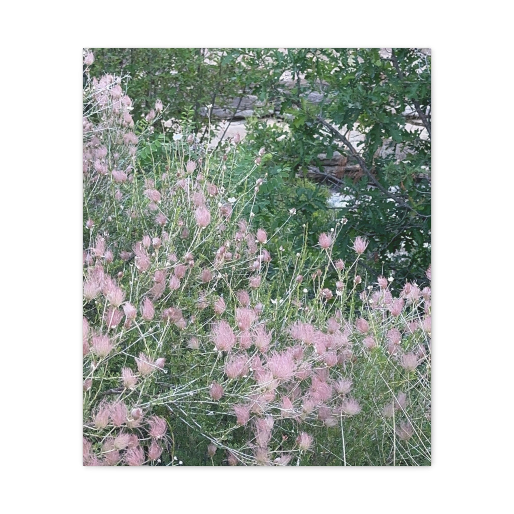 Floral Wall Art Canvas, Home Decor, Nature Lover Gift, Botanical Print, Spring Decor, Mother’s Day