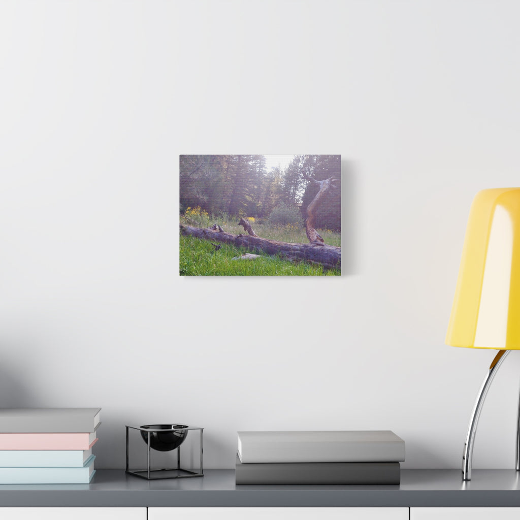 Matte Canvas Wall Art - Serene Nature Scene, Perfect for Home Decor, Gift for Nature Lovers, Office Wall Decoration, Rustic Art Print