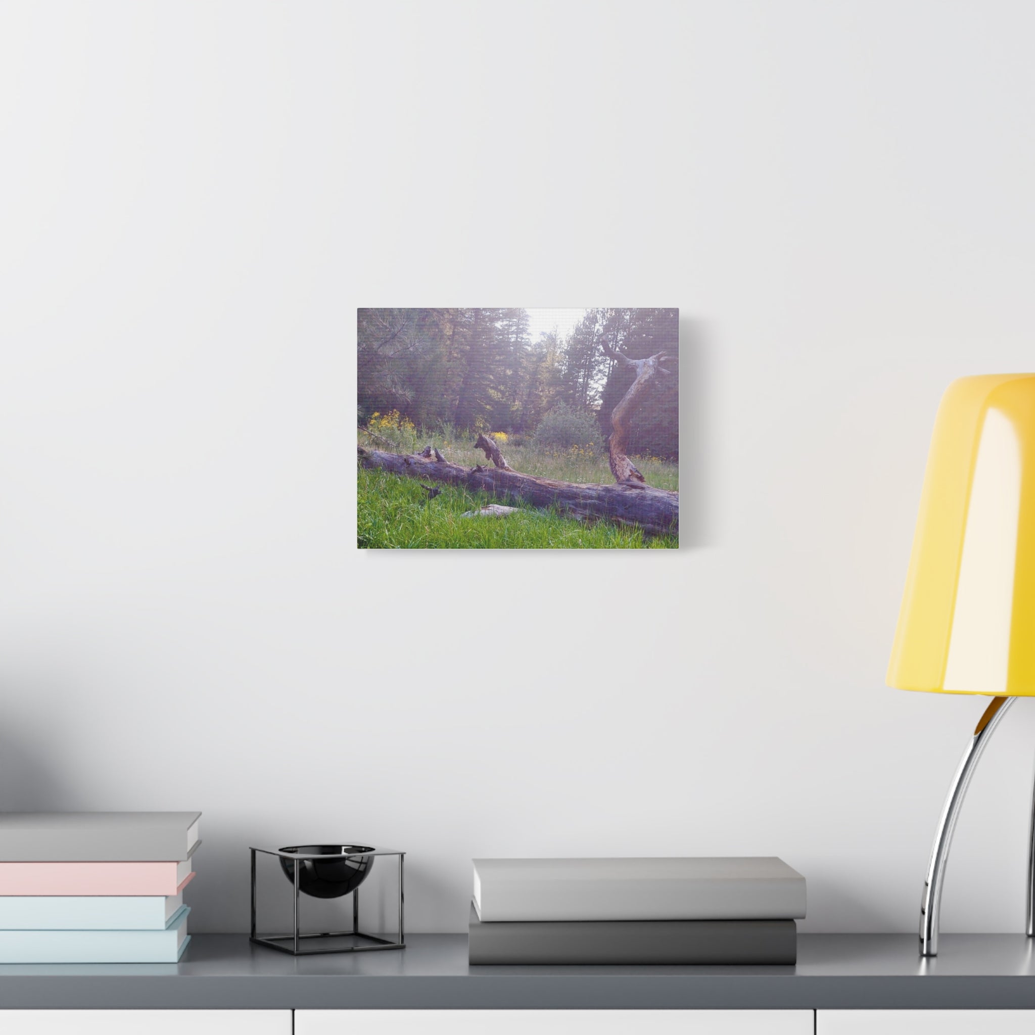 Matte Canvas Wall Art - Serene Nature Scene, Perfect for Home Decor, Gift for Nature Lovers, Office Wall Decoration, Rustic Art Print