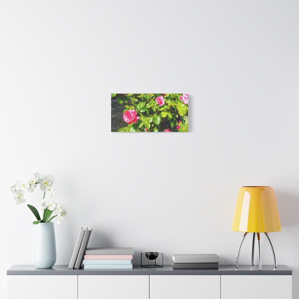 Floral Canvas Wall Art, Pink Rose Decor, Home Gallery Piece, Flower Photography, Garden Wall Decor, Floral Print