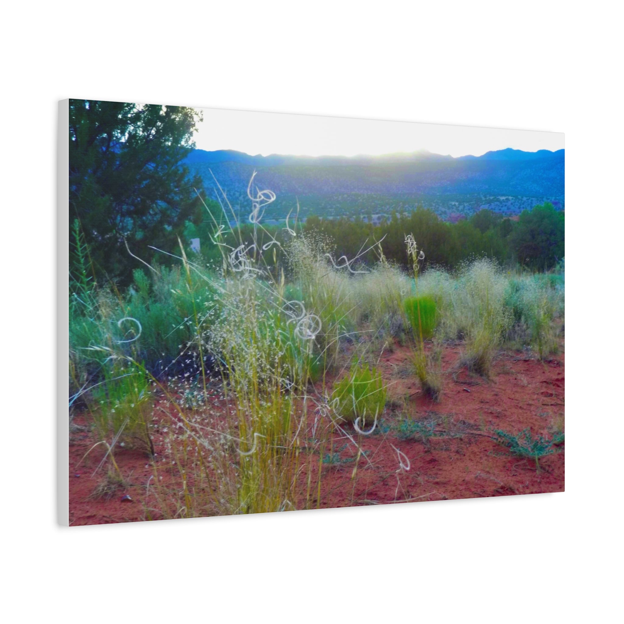 Stretched Canvas Art Print, Nature Wall Decor, Boho Home Decor, Rustic Landscape Art, Gift for Nature Lovers
