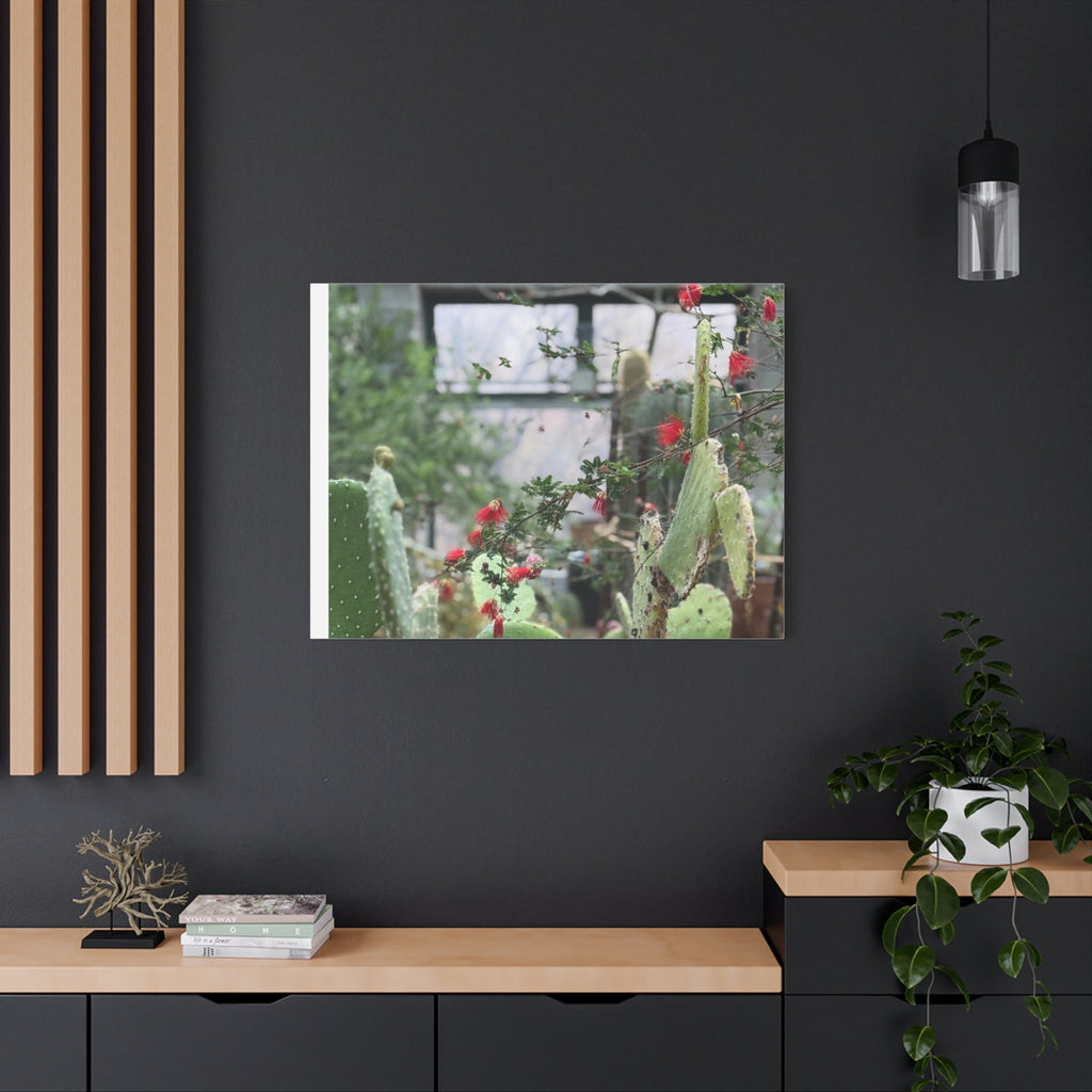 Cactus Wall Art Print, Nature Home Decor, Bohemian Style Artwork, Botanical Gift, Succulent Canvas