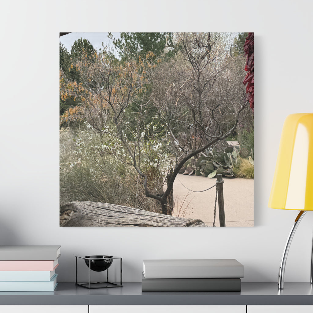 Classic Canvas Art Print, Bohemian Decor, Nature Wall Art, Home Gallery, Rustic Wall Decoration