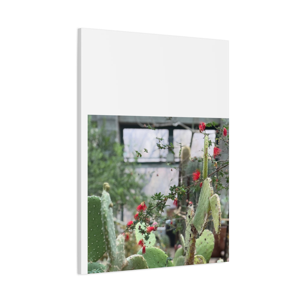 Cactus Wall Art Print, Nature Home Decor, Bohemian Style Artwork, Botanical Gift, Succulent Canvas