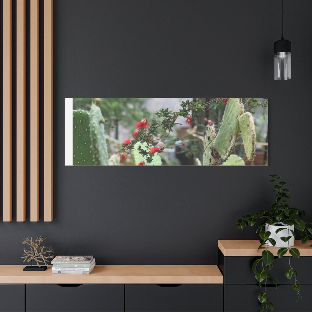 Cactus Wall Art Print, Nature Home Decor, Bohemian Style Artwork, Botanical Gift, Succulent Canvas