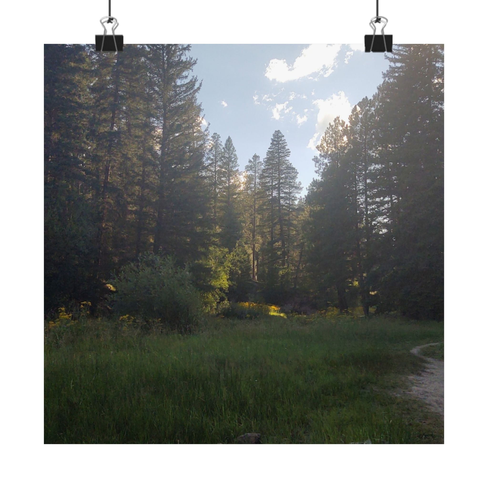 Nature-Inspired Matte Vertical Posters, Forest Art Decor, Home Wall Art, Outdoor Lover Gift, Tranquil Nature Prints