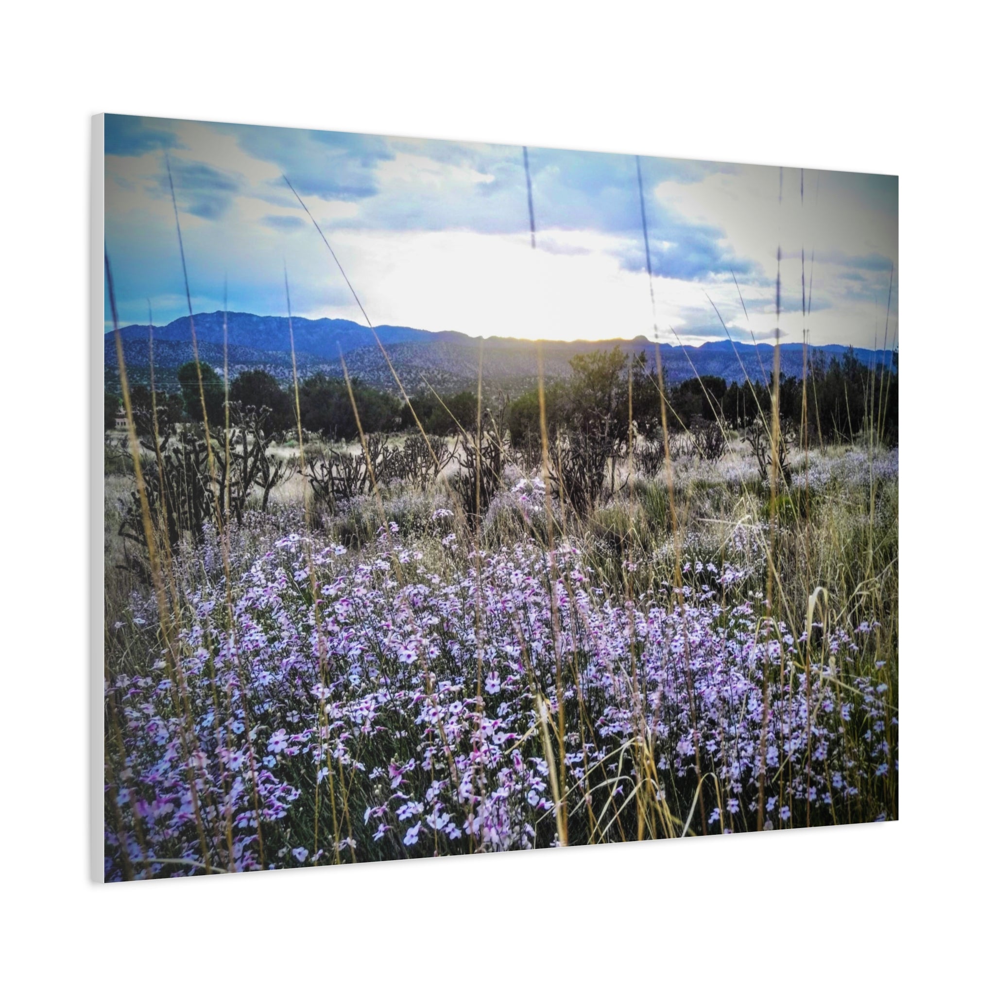 Framed Botanical Wall Art, Floral Canvas Print, Nature Decor, Home Interior Art, Gift for Garden Lovers, Beautiful Flower Landscape