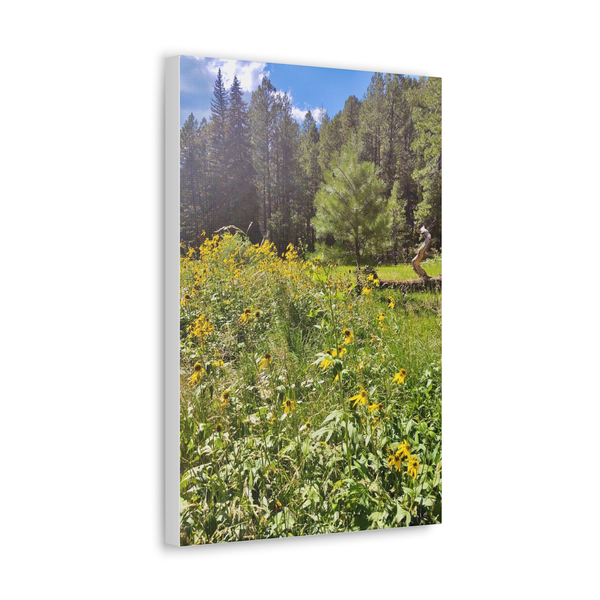 Canvas Wall Art, Nature Photography Decor, Floral Home Decor, Greenery Art Print, Gift for Nature Lovers