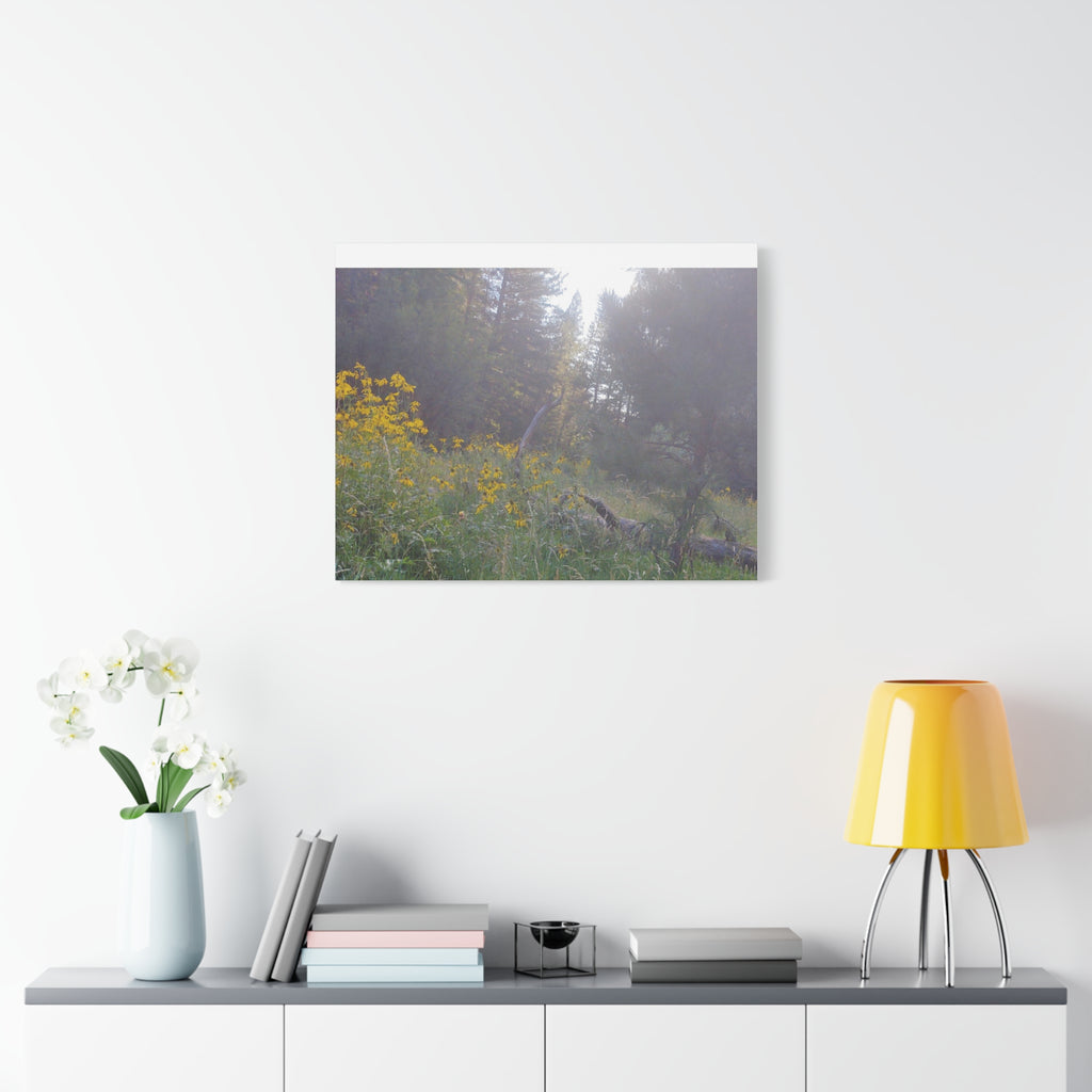 Matte Canvas, Stretched, 1.25"