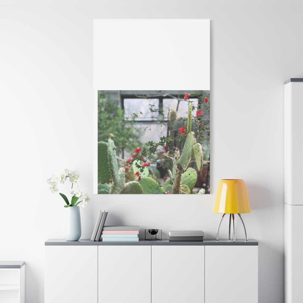 Cactus Wall Art Print, Nature Home Decor, Bohemian Style Artwork, Botanical Gift, Succulent Canvas