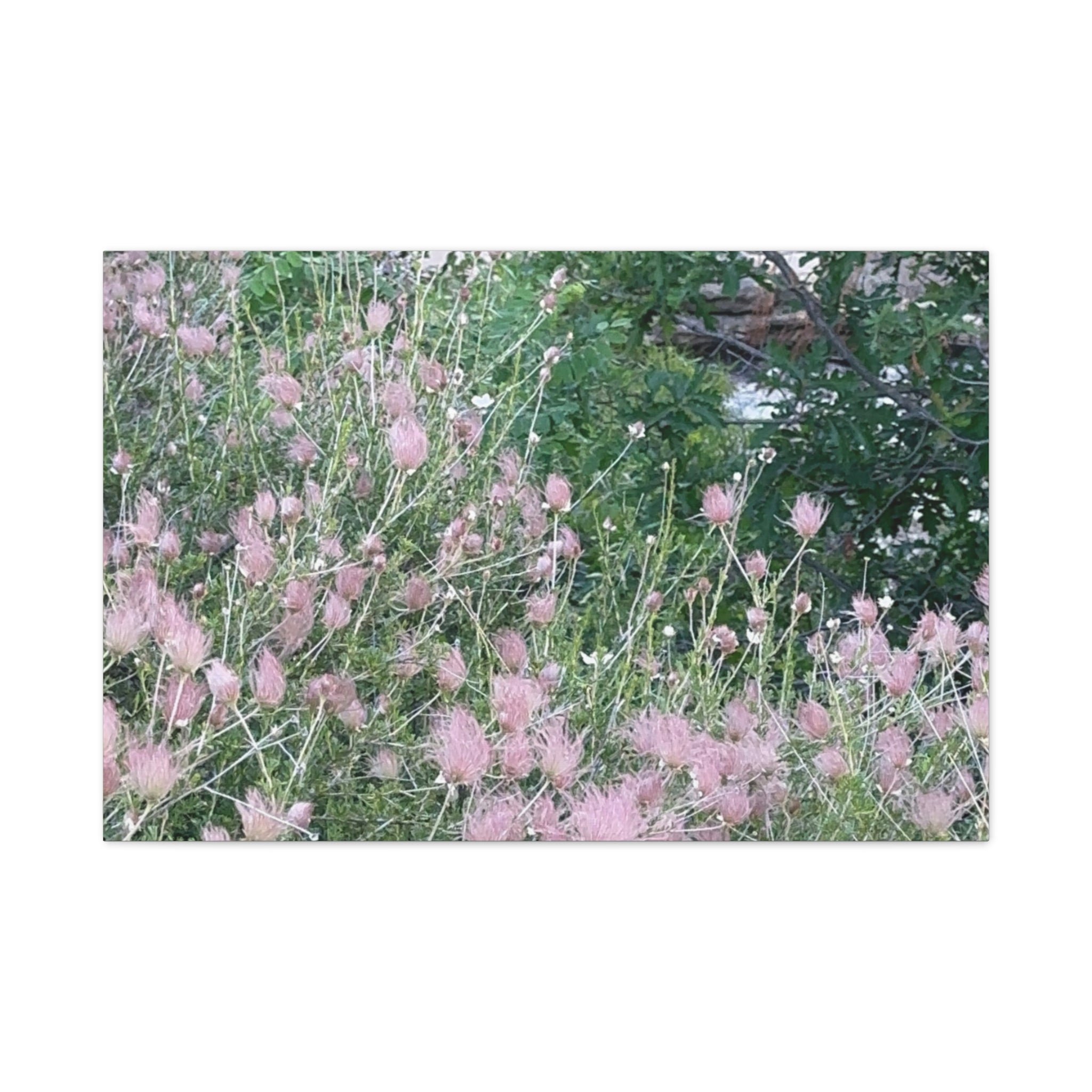 Floral Wall Art Canvas, Home Decor, Nature Lover Gift, Botanical Print, Spring Decor, Mother’s Day