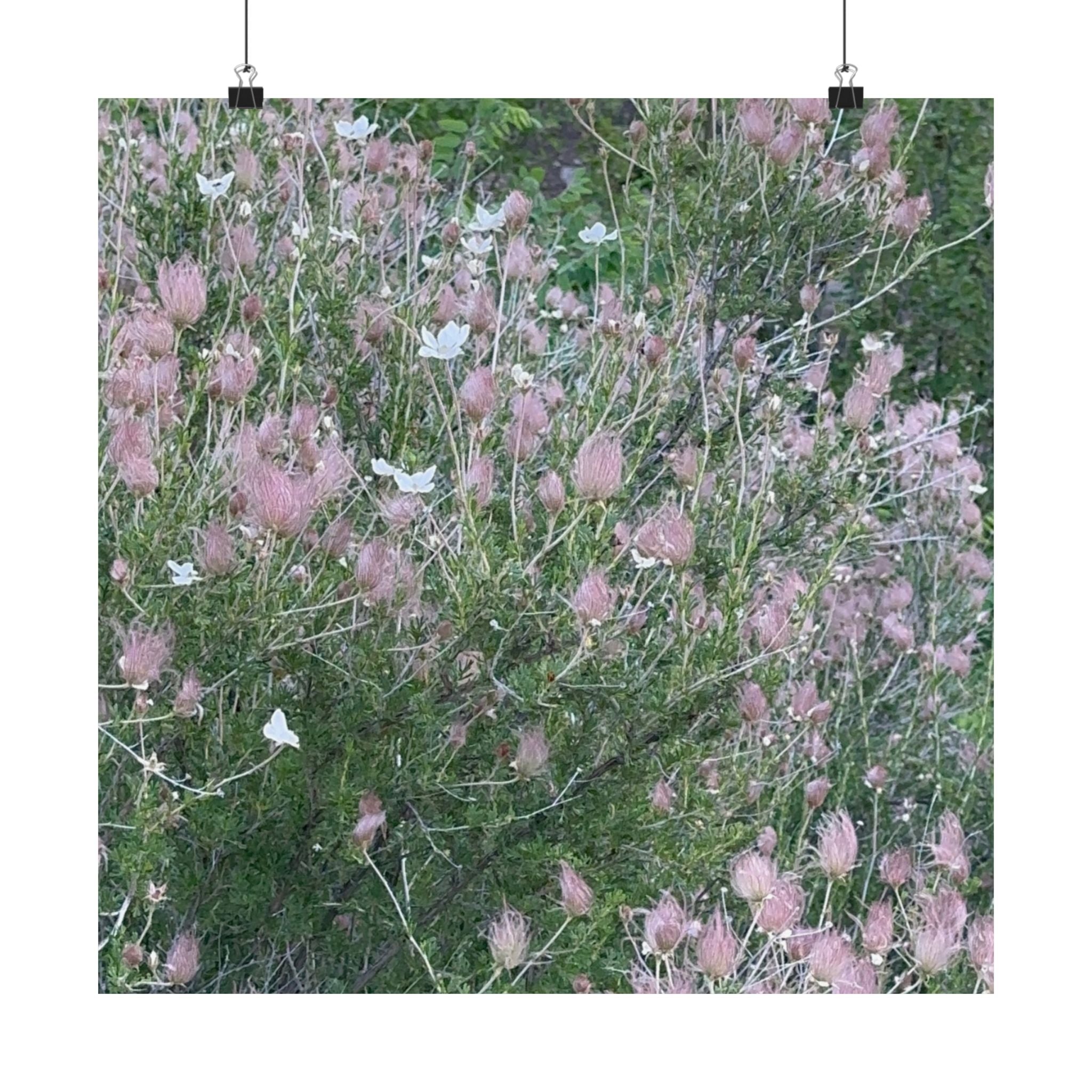 Botanical Vertical Art Print, Pink Floral Poster for Home Decor, Flower Wall Art, Nature-Inspired Artwork, Gift for Garden Lovers