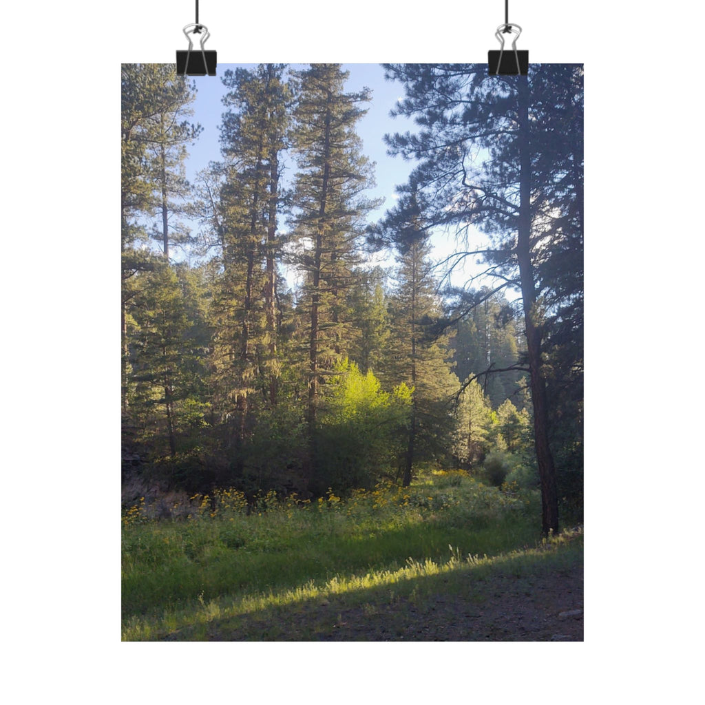 Nature-Inspired Matte Vertical Posters, Forest Wall Art, Home Décor, Greenery Prints, Gifts for Nature Lovers, Nature Photography