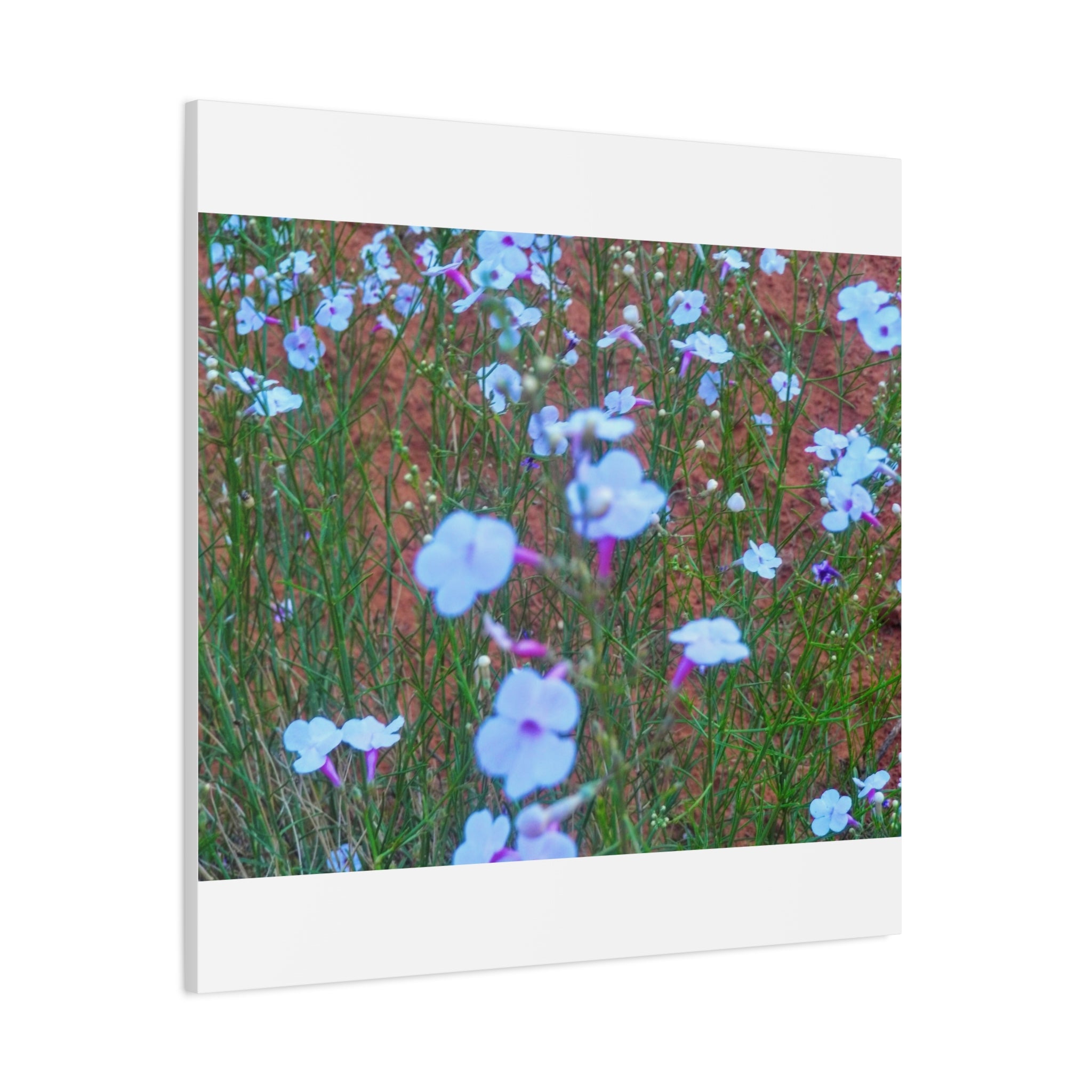 Floral Canvas Wall Art, Home Decor, Wall Hanging, Gift Idea, Nature Art, Flower Print