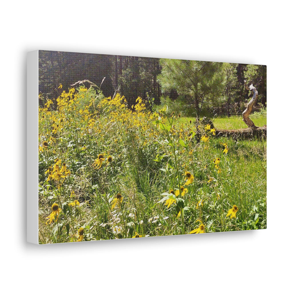 Canvas Wall Art, Nature Photography Decor, Floral Home Decor, Greenery Art Print, Gift for Nature Lovers