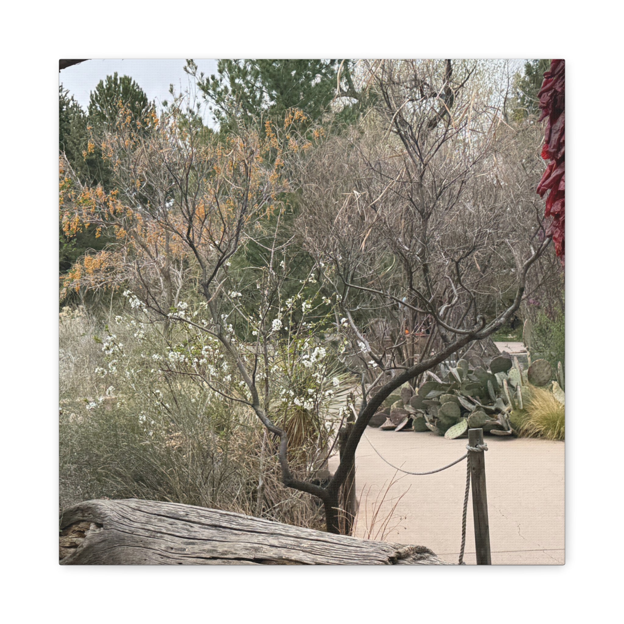 Classic Canvas Art Print, Bohemian Decor, Nature Wall Art, Home Gallery, Rustic Wall Decoration