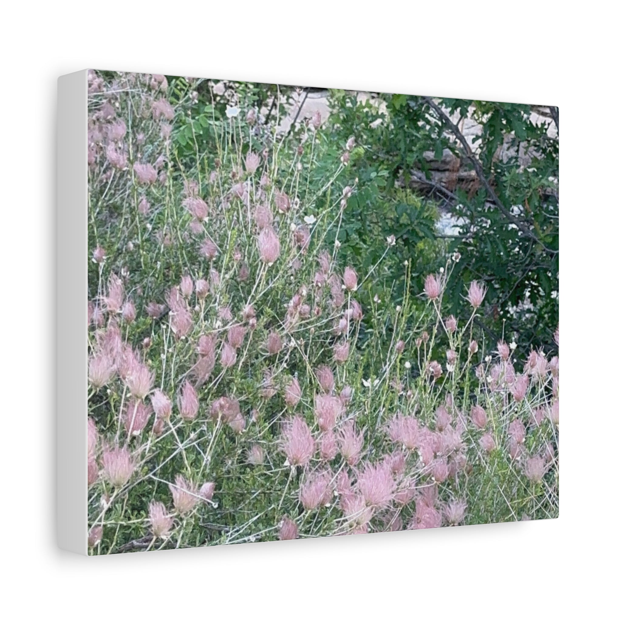 Floral Wall Art Canvas, Home Decor, Nature Lover Gift, Botanical Print, Spring Decor, Mother’s Day