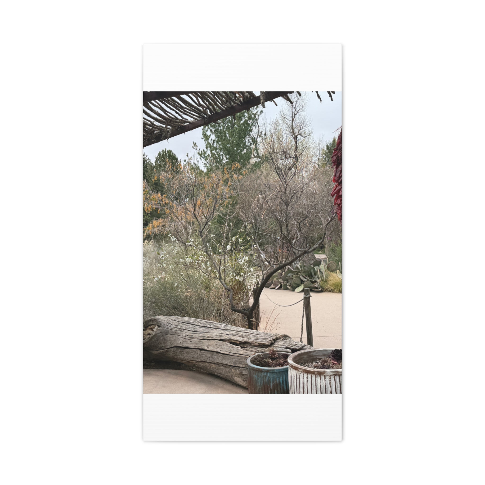 Classic Canvas Art Print, Bohemian Decor, Nature Wall Art, Home Gallery, Rustic Wall Decoration