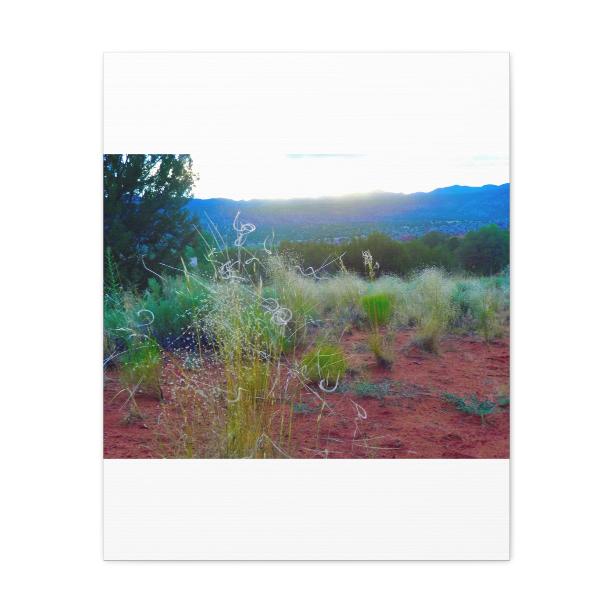 Stretched Canvas Art Print, Nature Wall Decor, Boho Home Decor, Rustic Landscape Art, Gift for Nature Lovers