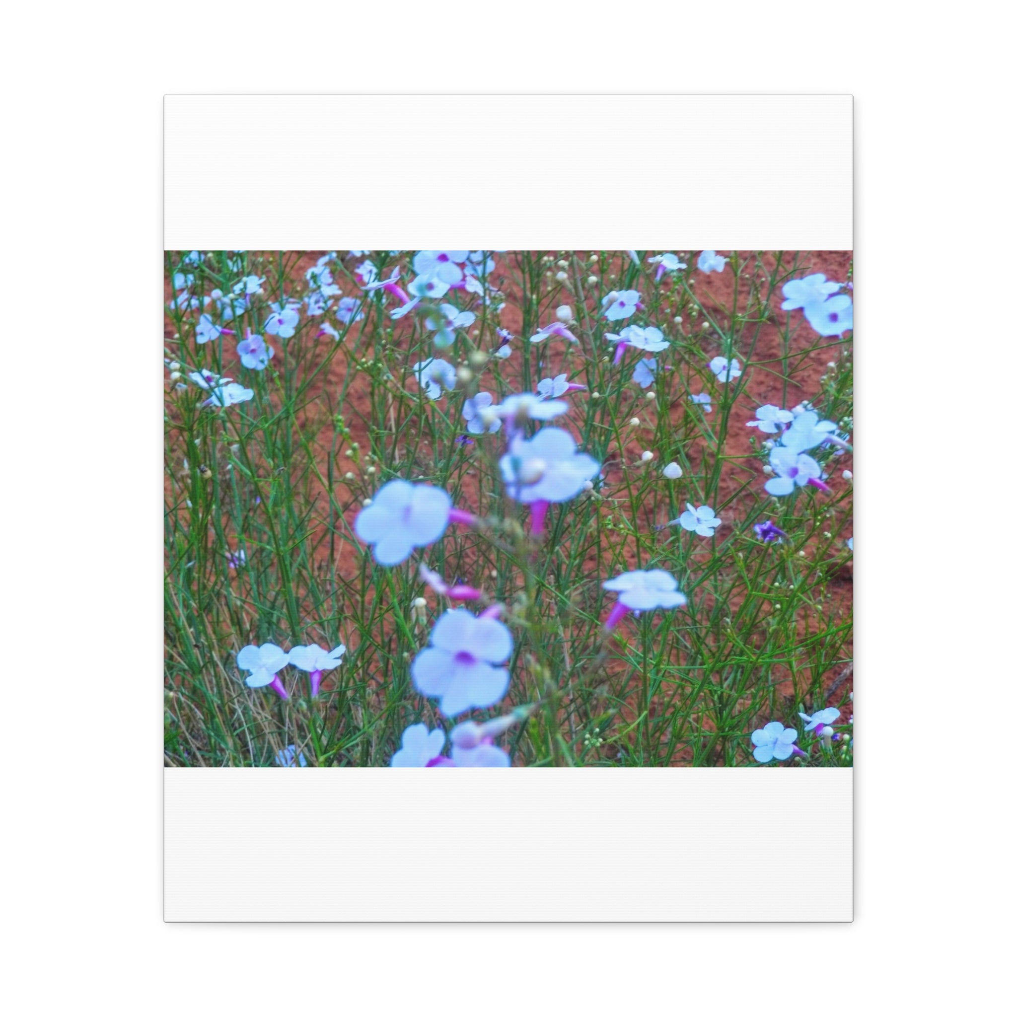 Floral Canvas Wall Art, Home Decor, Wall Hanging, Gift Idea, Nature Art, Flower Print